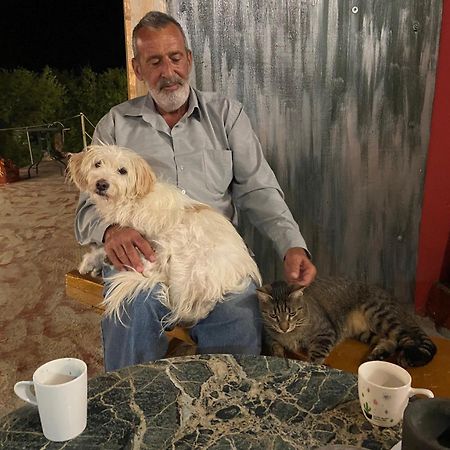 Art Studio Kefalonia Davgáta Kültér fotó