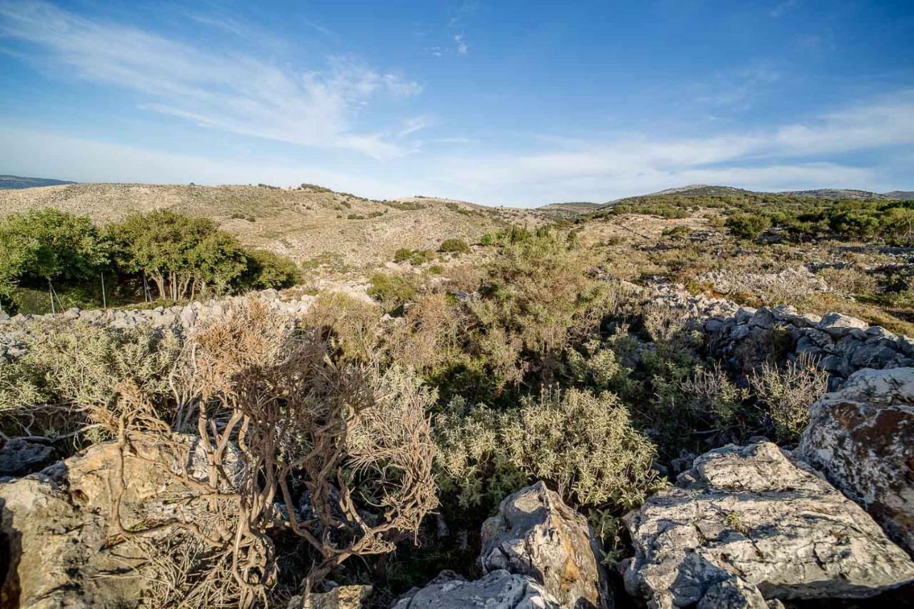 Art Studio Kefalonia Davgáta Kültér fotó